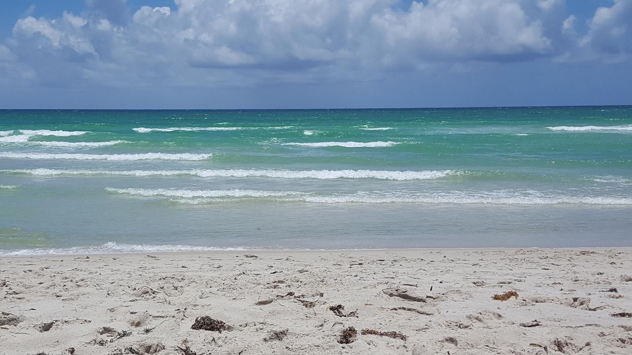 2 Bedroom 2 Bath Beachfront Condo On Miami Beach Millionaire Row Kültér fotó